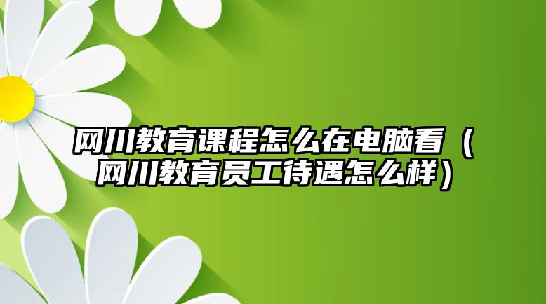 網川教育課程怎么在電腦看（網川教育員工待遇怎么樣）