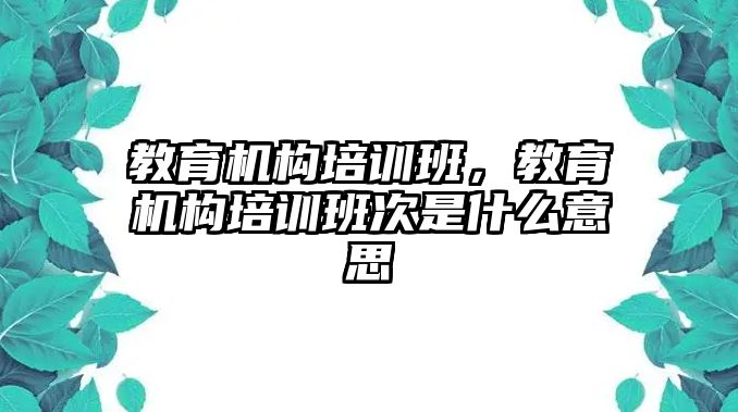 教育機構(gòu)培訓(xùn)班，教育機構(gòu)培訓(xùn)班次是什么意思