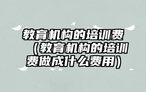 教育機構的培訓費（教育機構的培訓費做成什么費用）