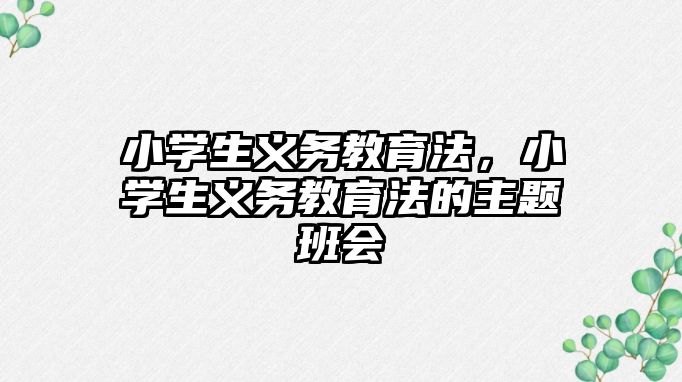 小學生義務教育法，小學生義務教育法的主題班會