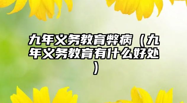 九年義務教育弊病（九年義務教育有什么好處）