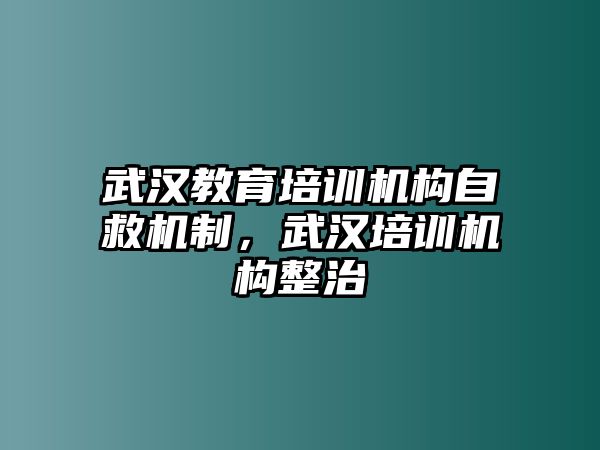 武漢教育培訓機構自救機制，武漢培訓機構整治