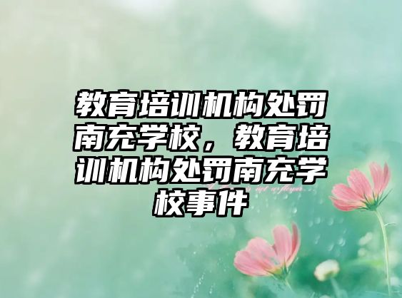 教育培訓機構處罰南充學校，教育培訓機構處罰南充學校事件