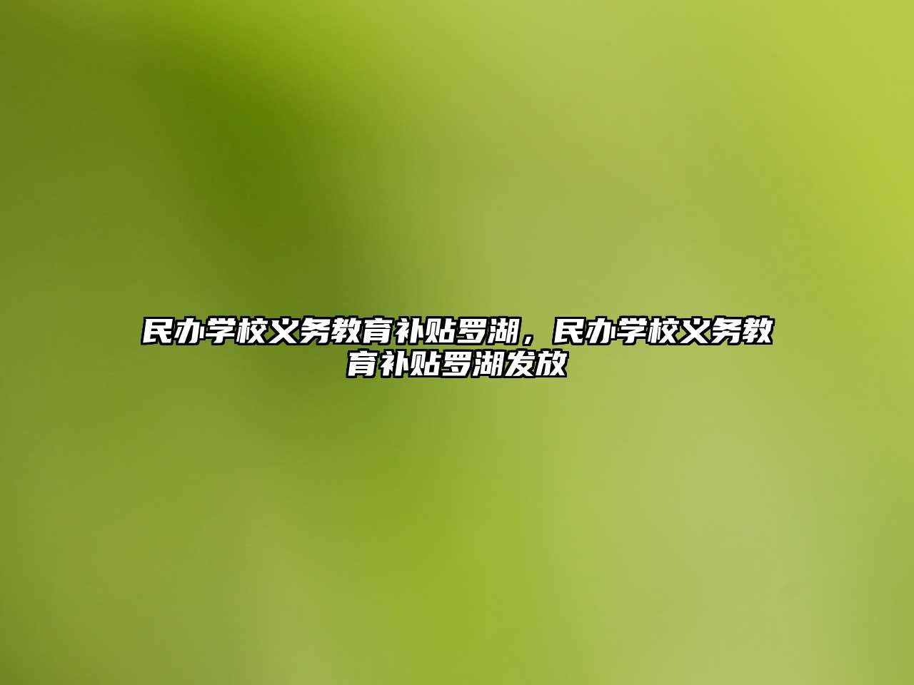 民辦學校義務教育補貼羅湖，民辦學校義務教育補貼羅湖發放