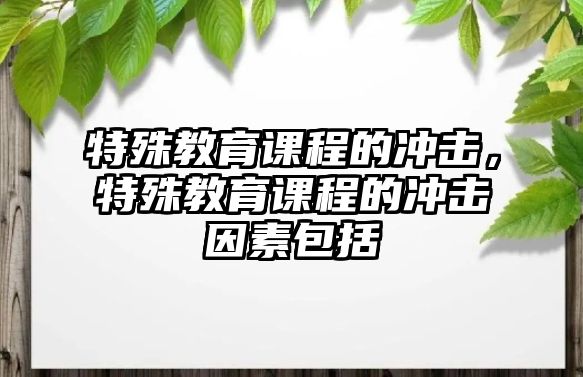 特殊教育課程的沖擊，特殊教育課程的沖擊因素包括