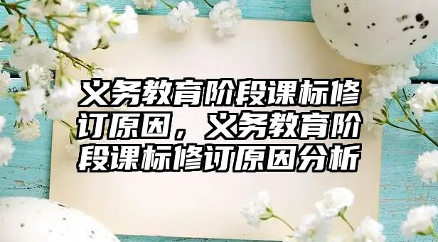 義務教育階段課標修訂原因，義務教育階段課標修訂原因分析